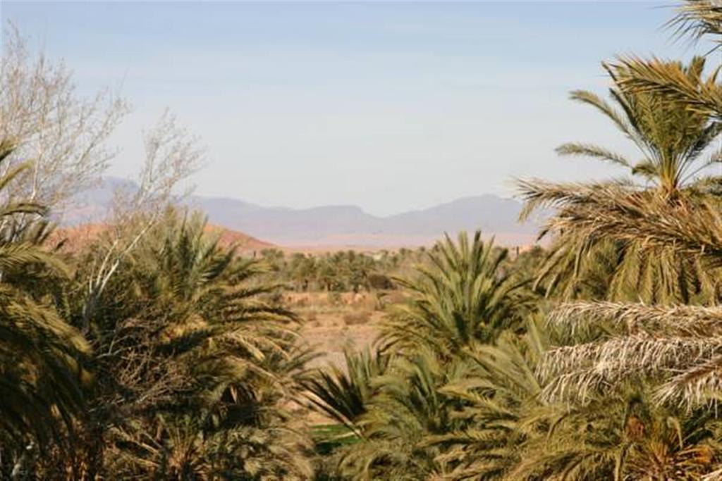 Riad Sarayas Tajda Exterior foto
