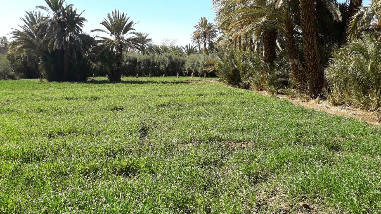 Riad Sarayas Tajda Exterior foto
